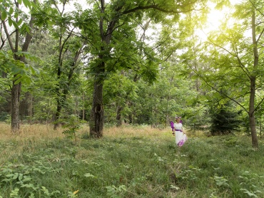 Миниатюра фотографии 'Таинственный лес' от фотографа в Минске Натальи Котенко
